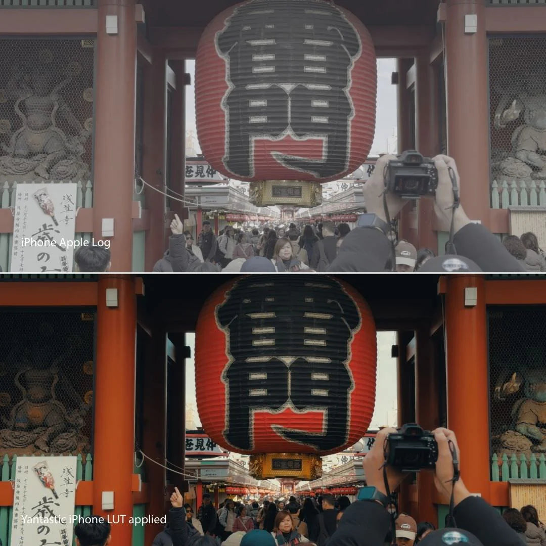 iPhone Apple Log LUTs