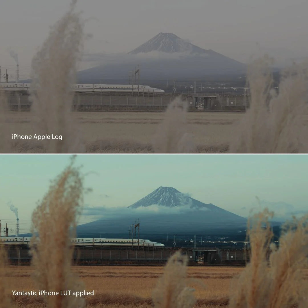 iPhone Apple Log LUTs